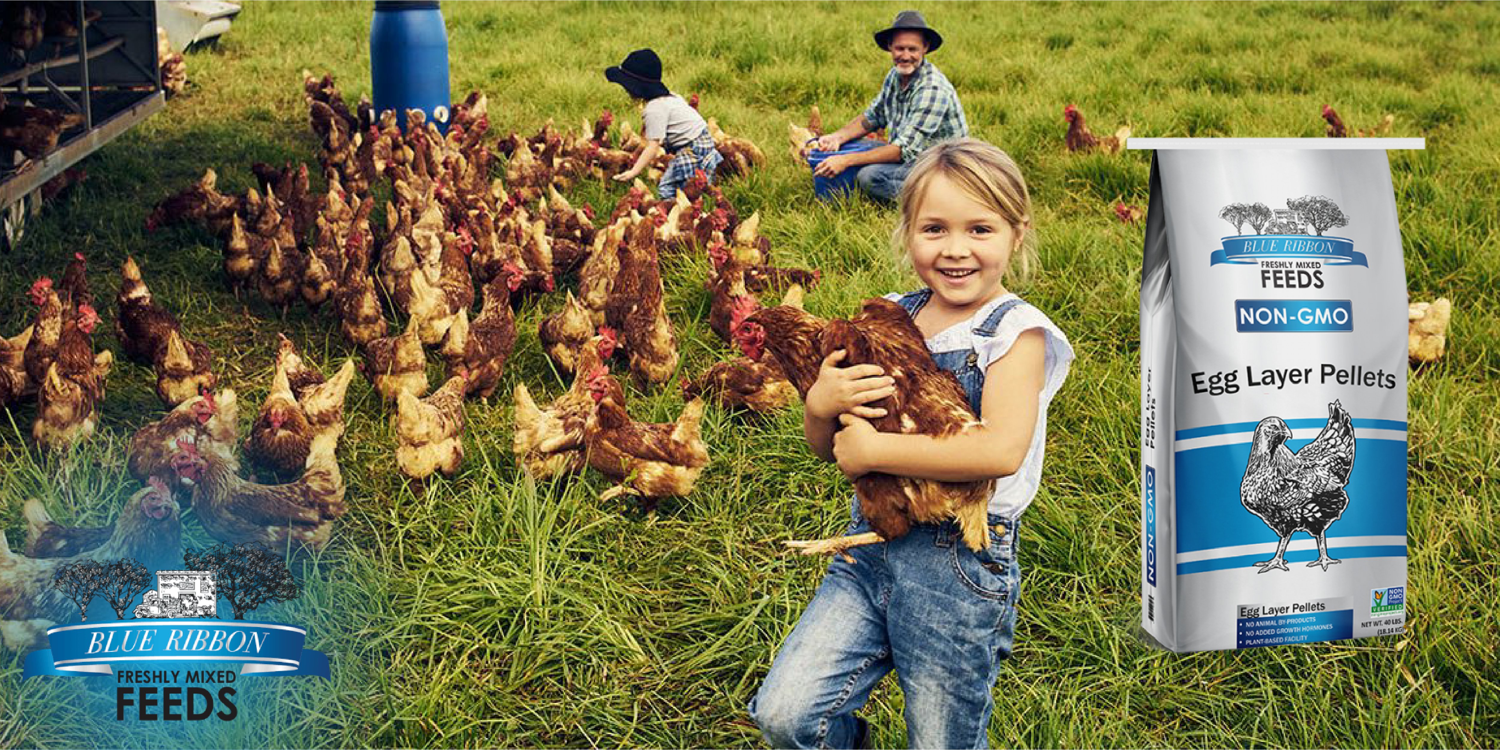 What Is Non-GMO Feed and Why Does It Matter for Livestock and Poultry?