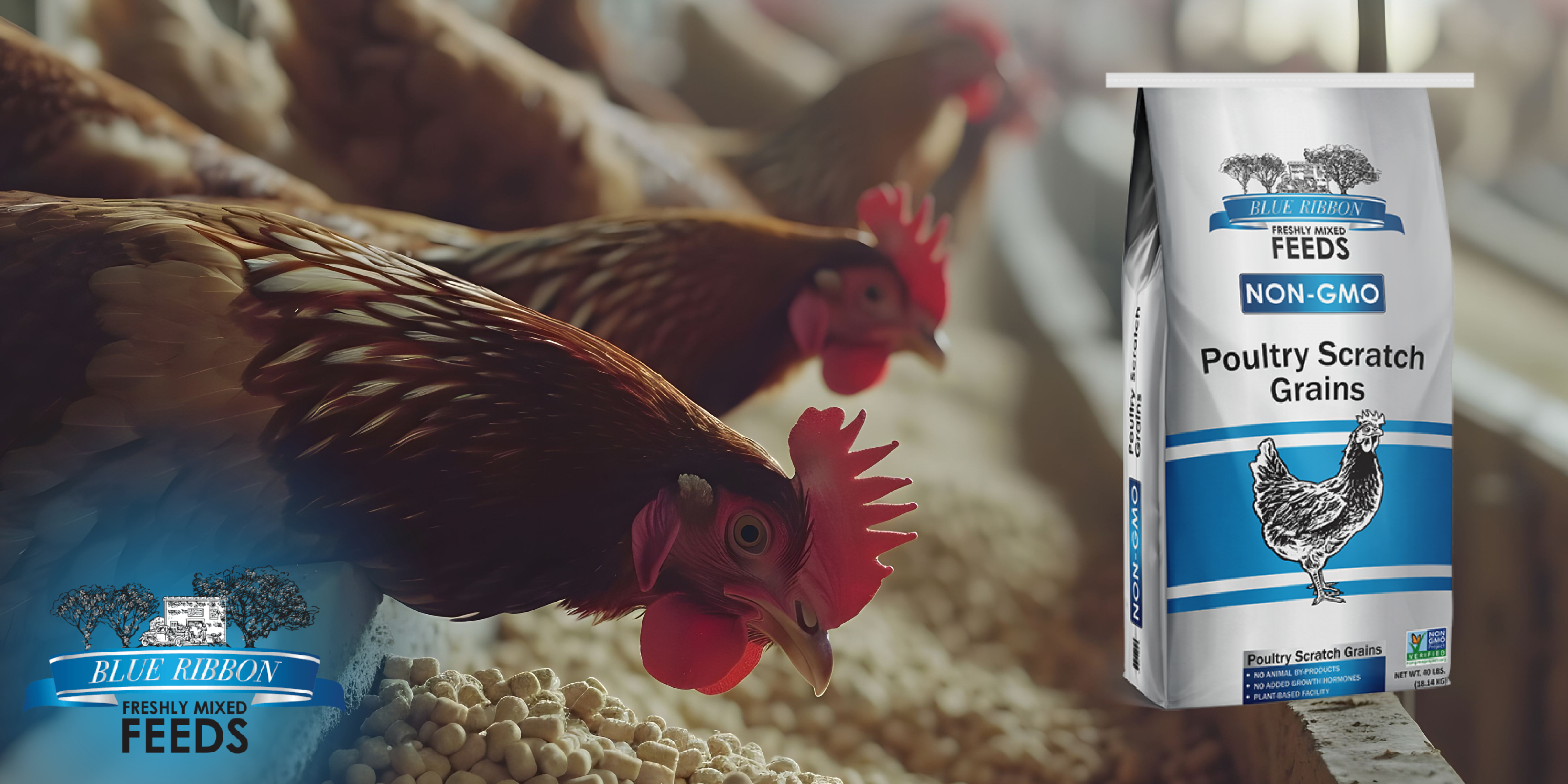 The Role of Scratch Grains in Poultry Diets and Behavior