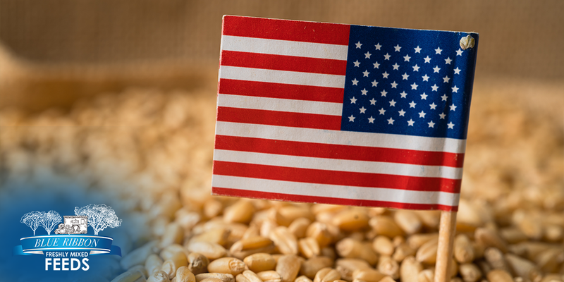 USA-Made Animal Feed: Why Domestic Milling Matters for Quality and Trust
