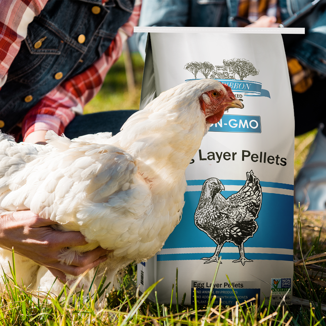 Blue Ribbon Non-GMO Egg Layer Pellets