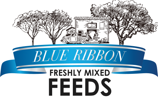 Blue Ribbon Non-GMO Feeds