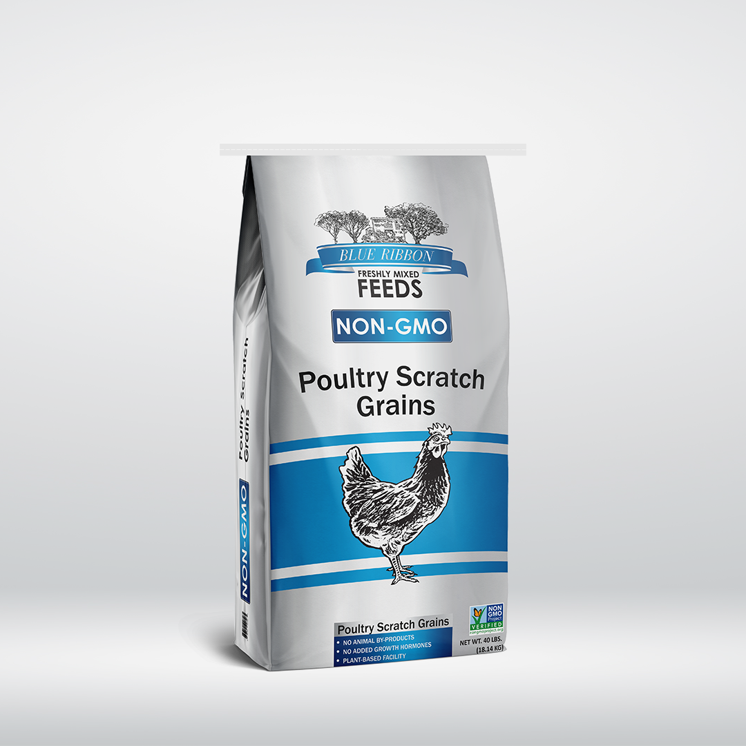 Blue Ribbon Poultry Scratch Grains